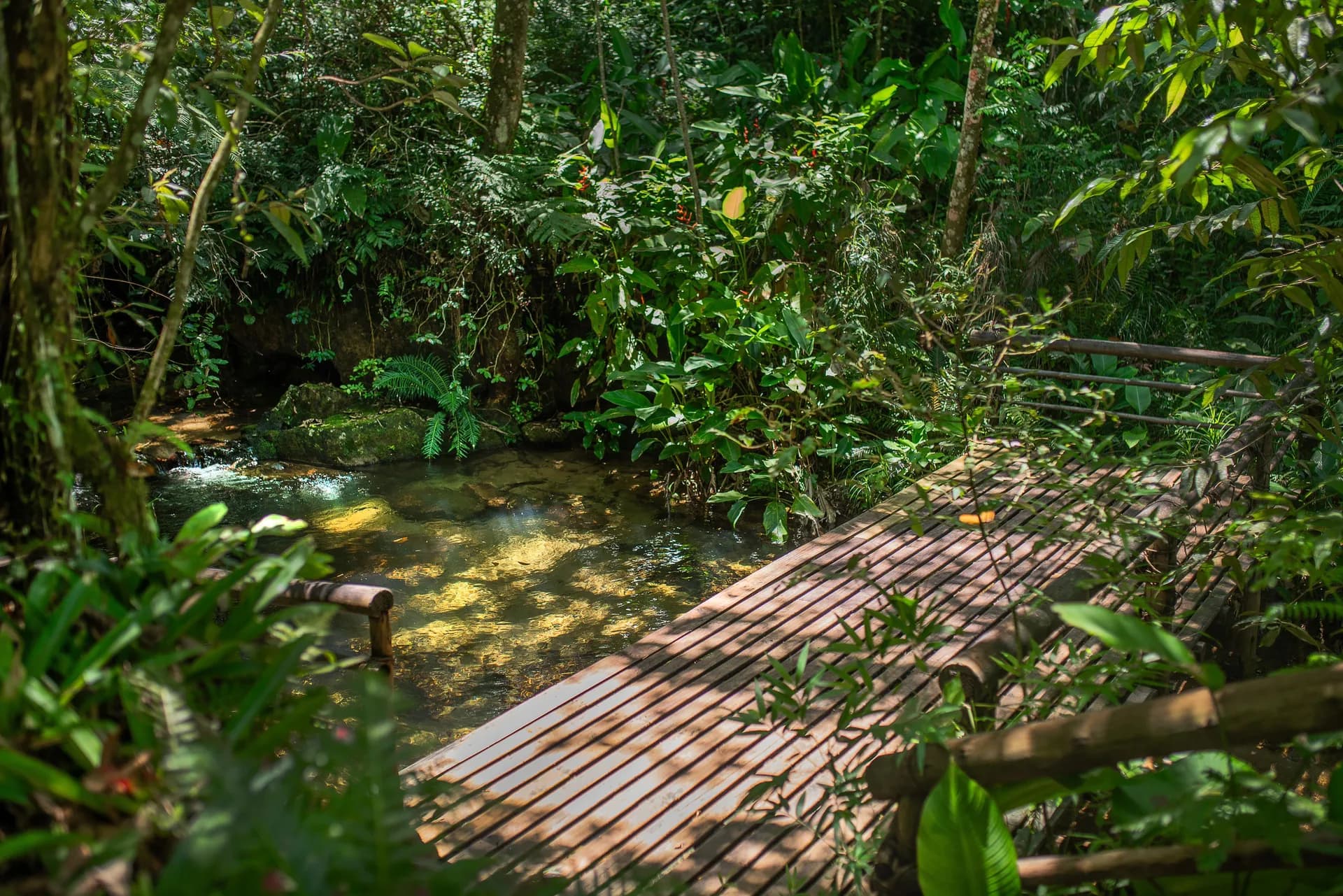 Paisagem e natureza da Reserva Eden