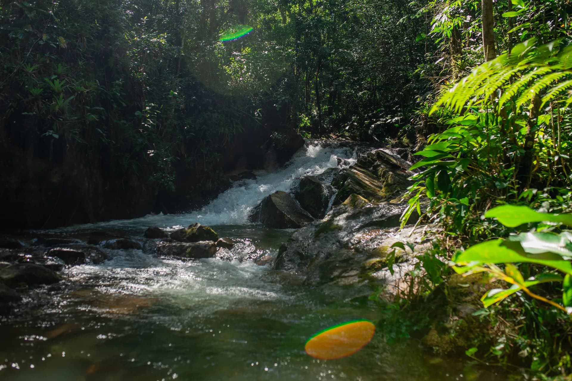 Experiência na Reserva Eden